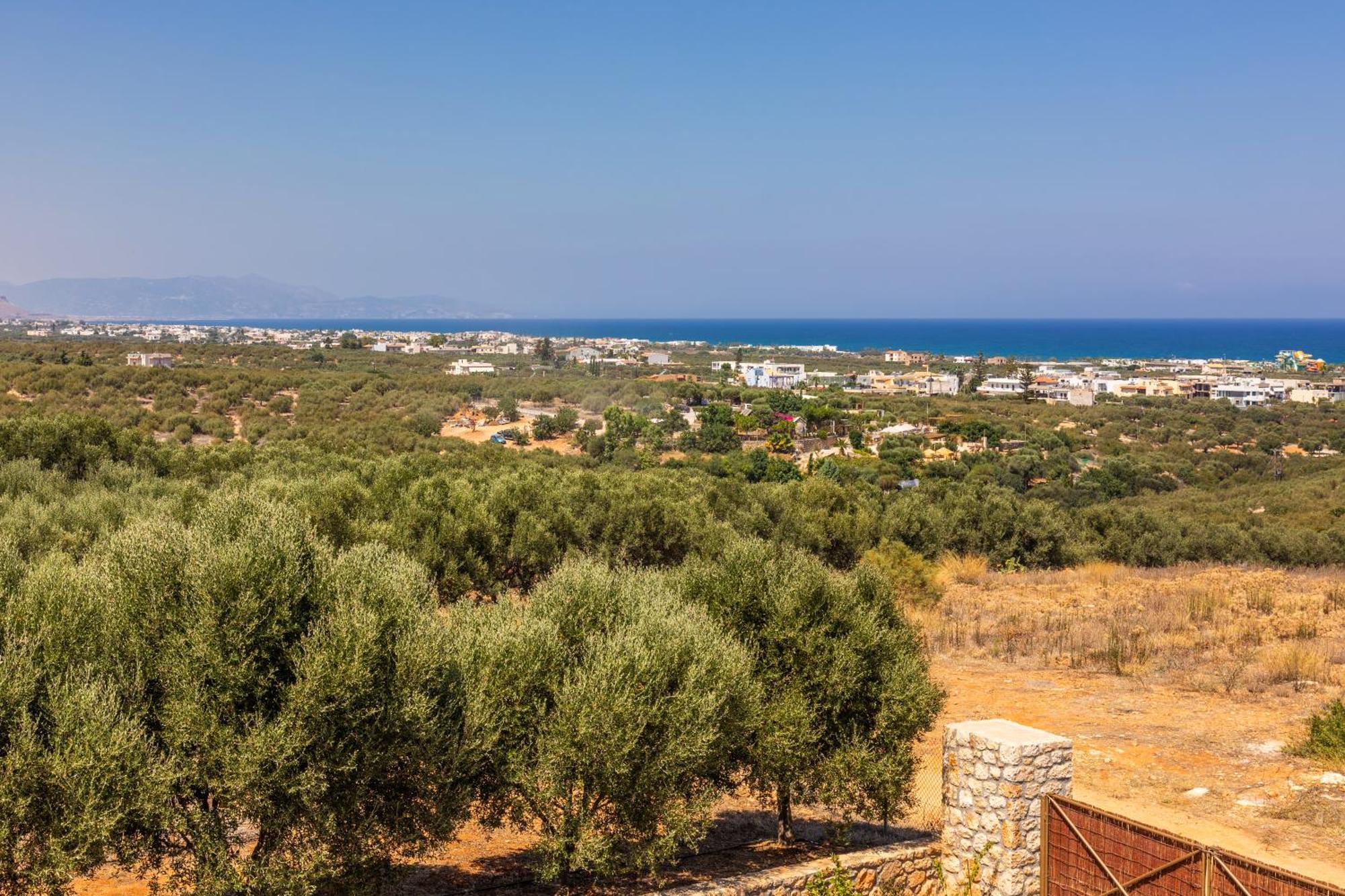 Γηorganic Farm And Houses. Hersonissos  Exteriér fotografie